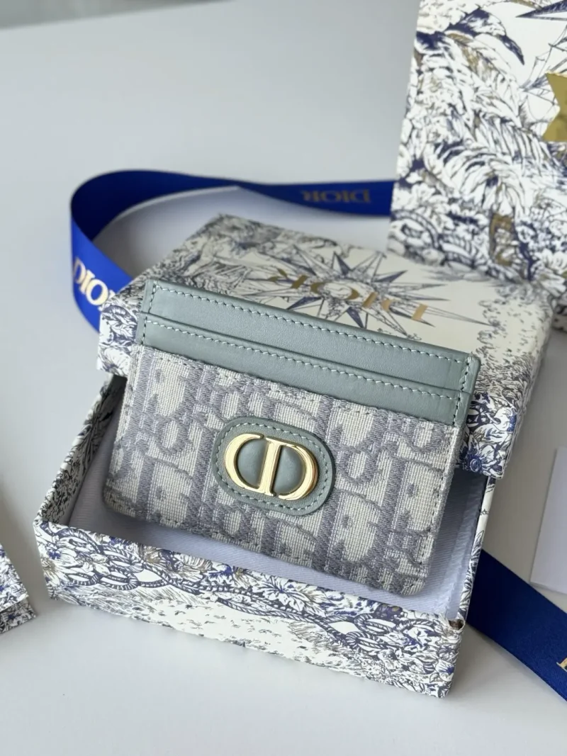Cardholder Light blue Oblique print