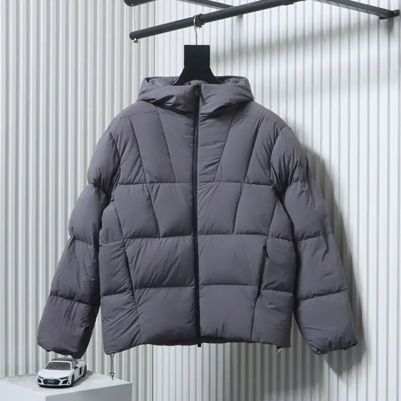 Fusain Hooded Down Jacket