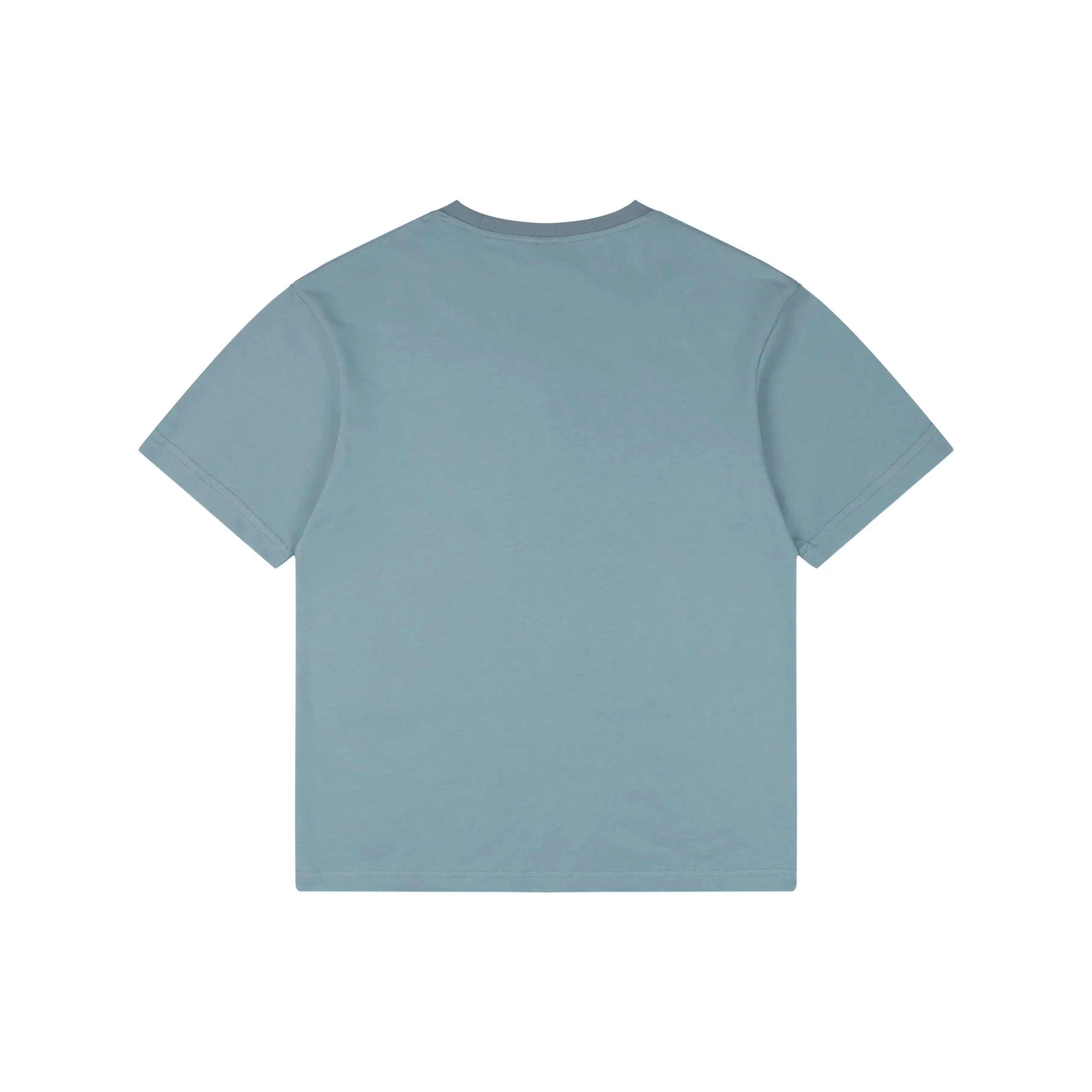 Thorn Poetry Embroidery Cotton T-Shirt - Light Blue - Back