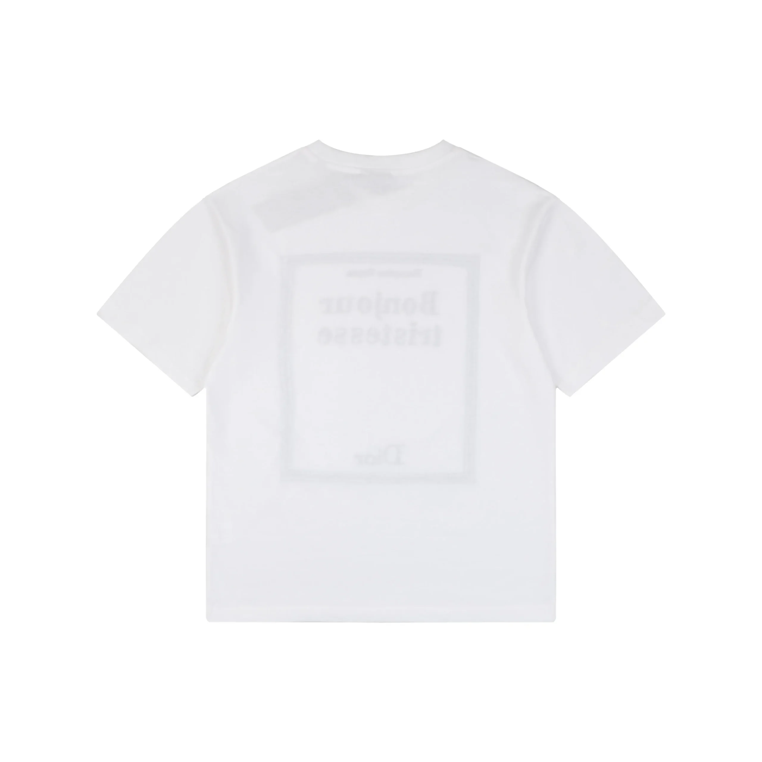 Thorn Poetry Embroidery Cotton T-Shirt - White - Back