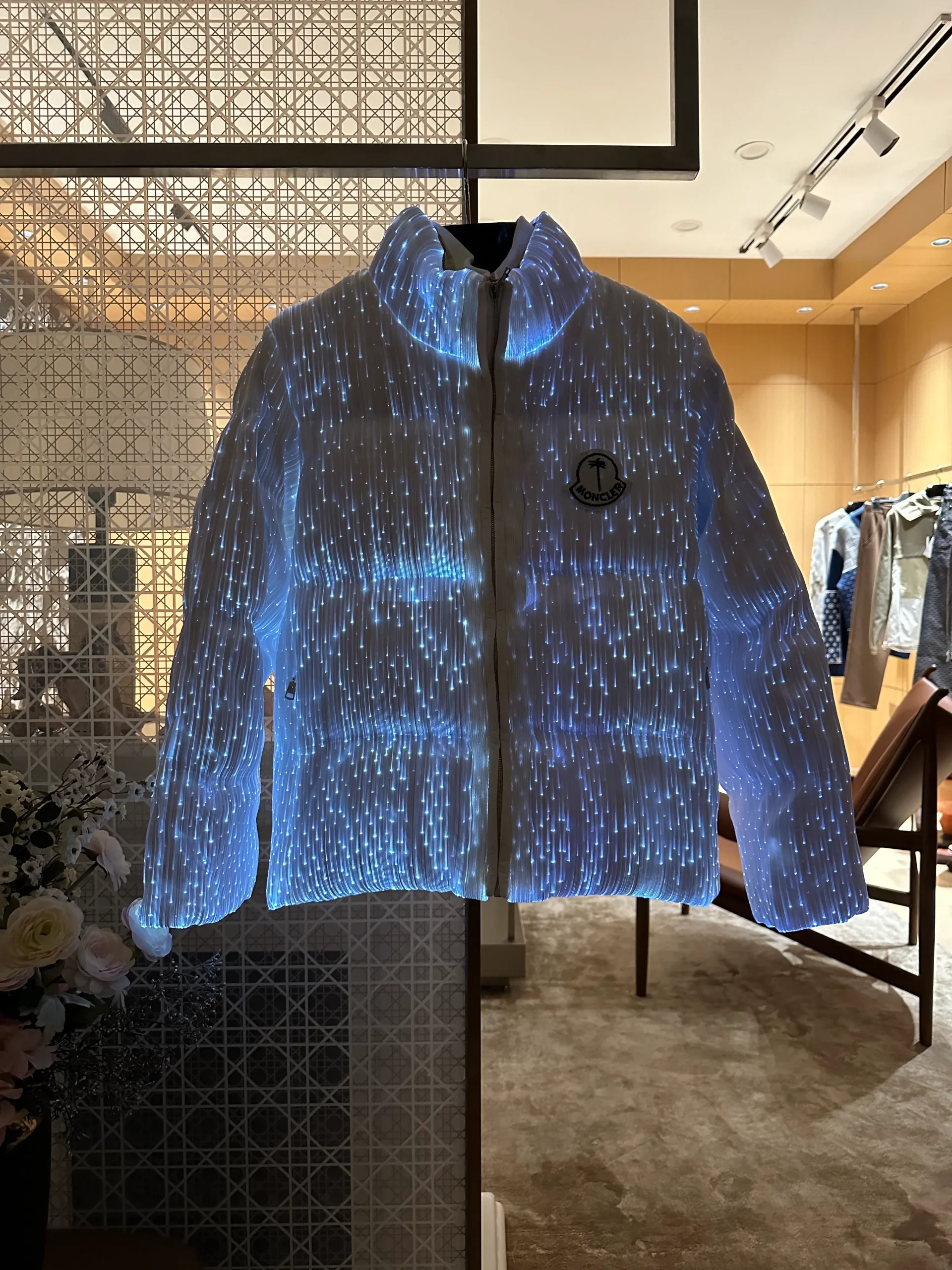 Palm Logo Stand Collar Down Jacket - Front View with Light