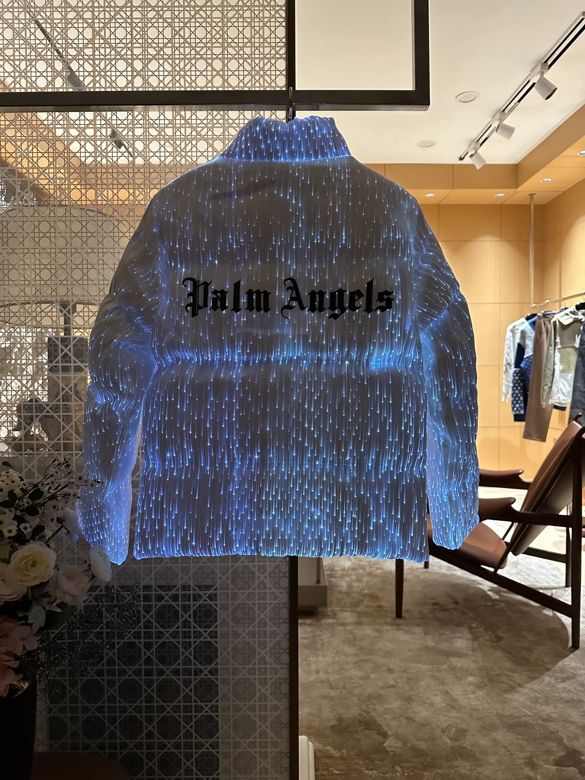 Palm Logo Stand Collar Down Jacket - Rear View with Light